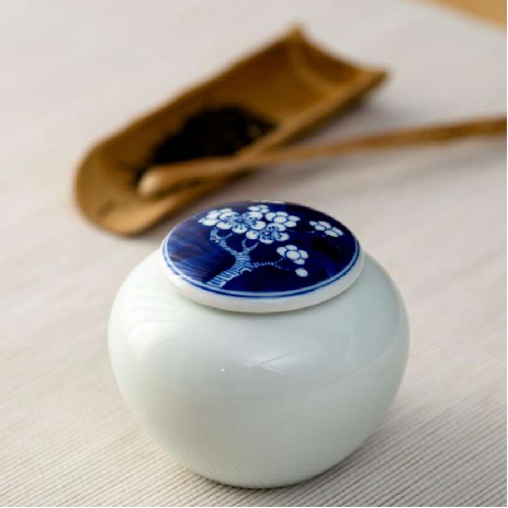 Blue and white jar, plum, orchid, bamboo, chrysanthemum series手绘12